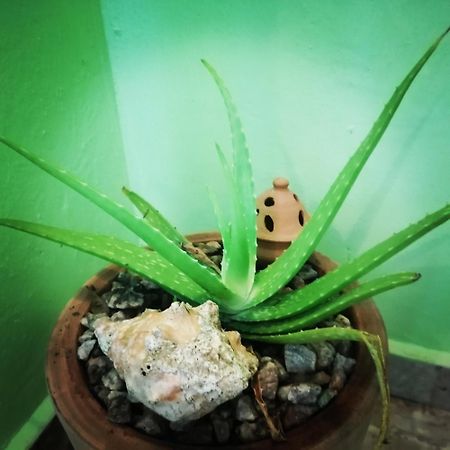 Scorpion Hill Lodge Busua Стая снимка