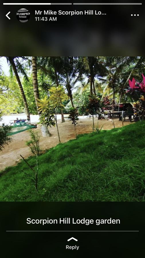 Scorpion Hill Lodge Busua Екстериор снимка