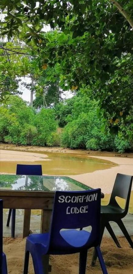 Scorpion Hill Lodge Busua Екстериор снимка