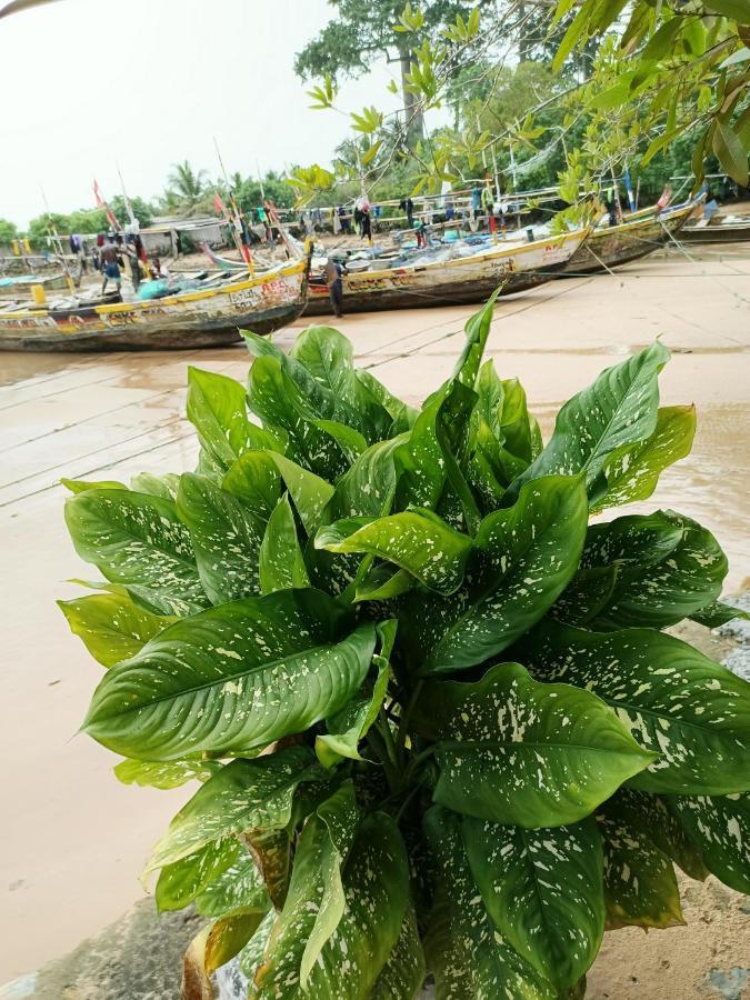 Scorpion Hill Lodge Busua Екстериор снимка