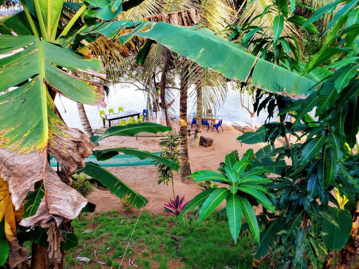 Scorpion Hill Lodge Busua Екстериор снимка