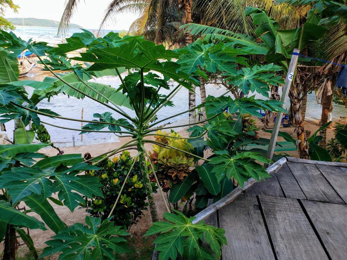 Scorpion Hill Lodge Busua Екстериор снимка