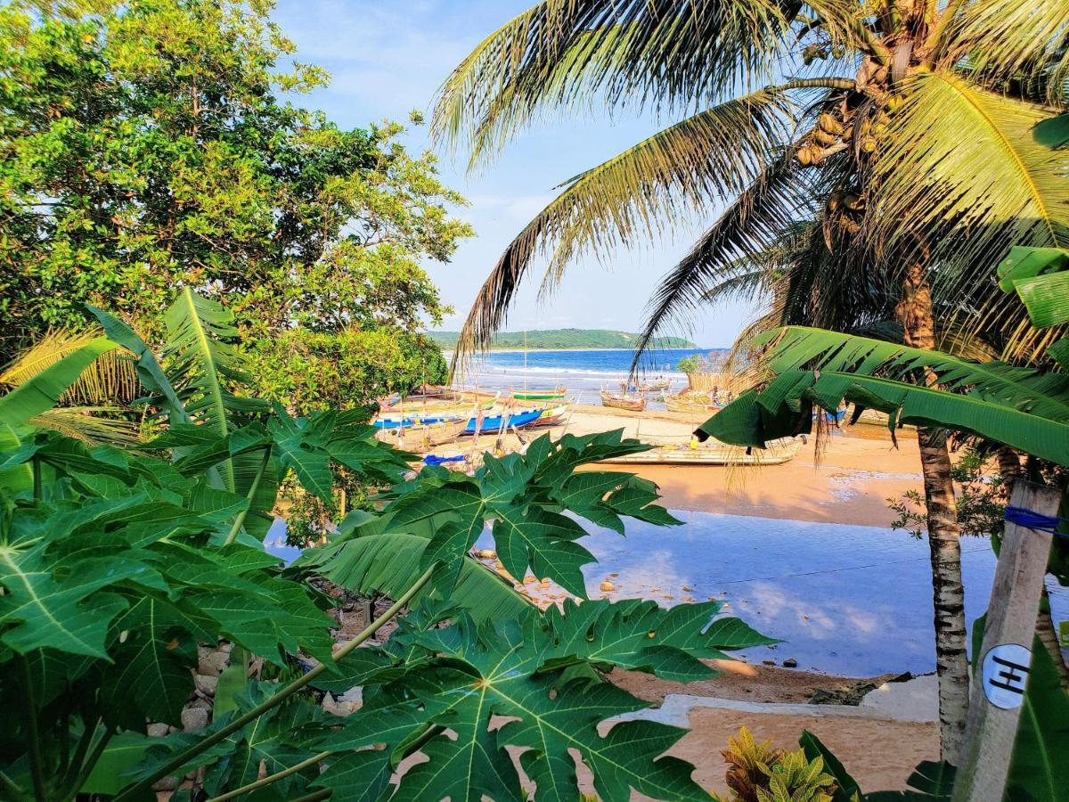 Scorpion Hill Lodge Busua Екстериор снимка